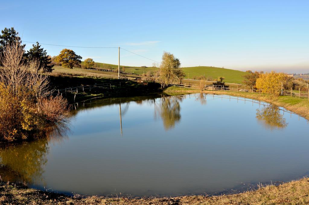 Agriturismo Ca Del Buco Hotel Monte San Giovanni  ภายนอก รูปภาพ